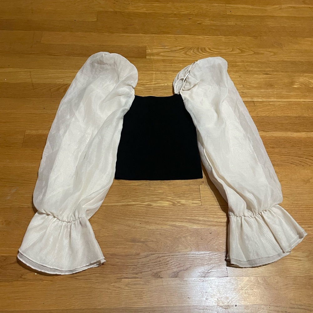 Zara Puff Long Sleeve